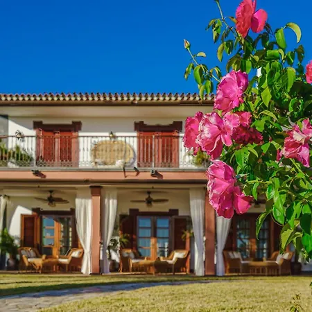 La Rosa De Vientos أذيخي